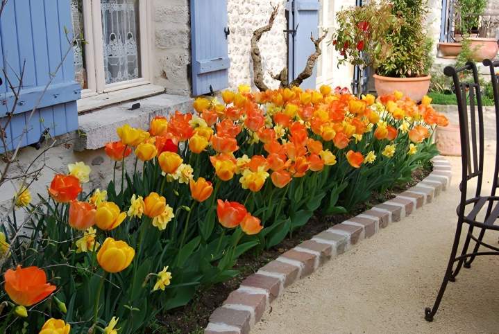 Bordure de jardin Pithiviers