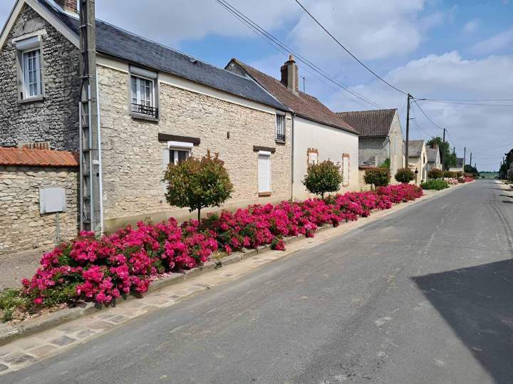 Parterre de fleurs Pithiviers