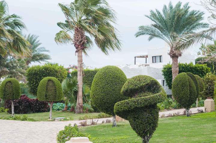 Entretien de jardin Pithiviers